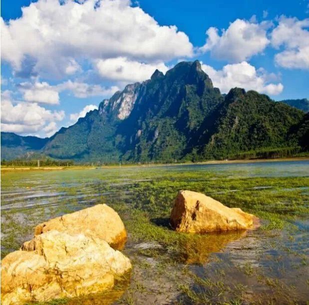 海南缤纷多彩鹦哥岭