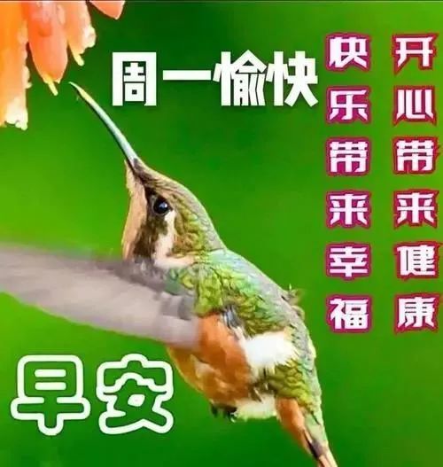 2022年2月21日星期一漂亮早上好问候动态表情图片带字周一最美早安