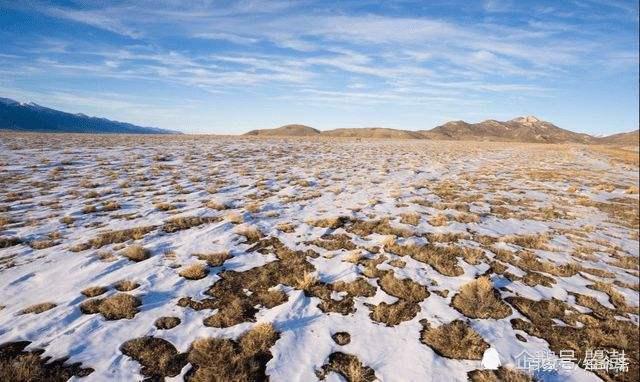 十二地支之丑土,属牛之人在哪些流年财运较好|运势