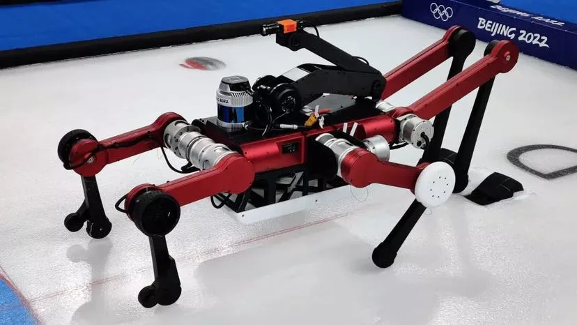 冬奥机器人图片