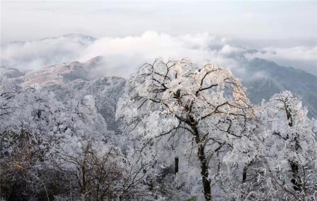 桂林市資源縣車田苗族鄉雪景(央廣網發 資源縣融媒體中心供圖)央廣網