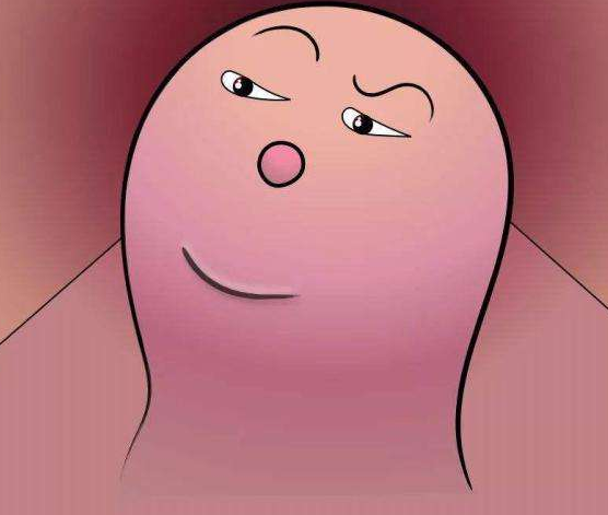 痔疮肉球消除方法有哪些三个食疗方或快速消除肉球止疼痛