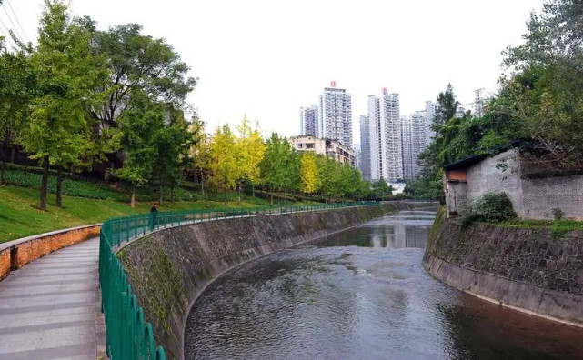 大学毕业,2020年6月17号,罗某在重庆龙山街道的盘溪河公园河内溺亡