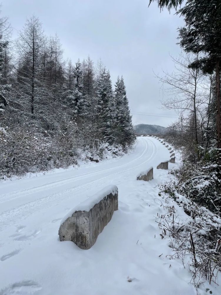 多图视频石柱县城又飞雪各乡镇雪景照片流出看看有你家吗