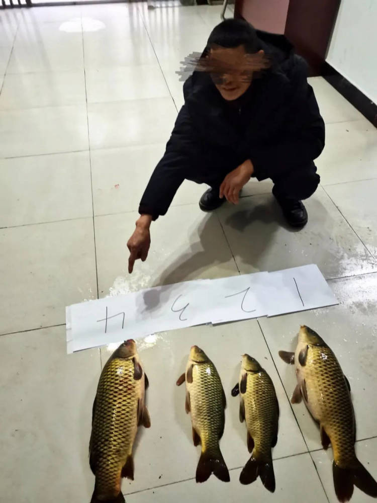 重庆黔江4人使用武斗竿钓鱼,被抓现行_腾讯新闻