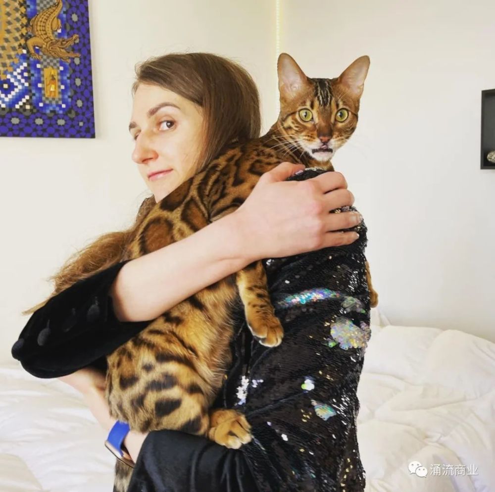 clarissa是只孟加拉猫,在ins上有自己的账号,简介是"和爱我的古怪父母