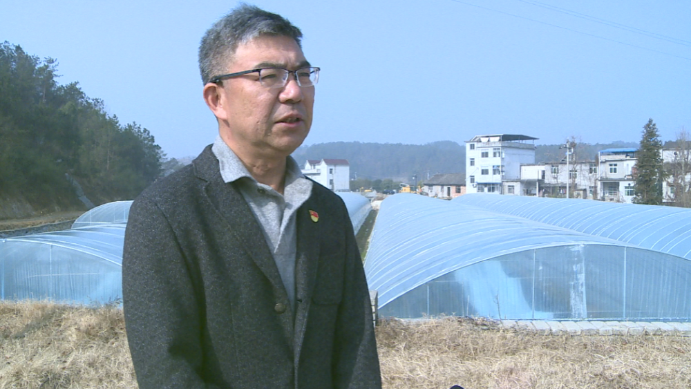 乡村振兴罗田县骆驼坳镇燕窝塆村快递进村助力乡村振兴