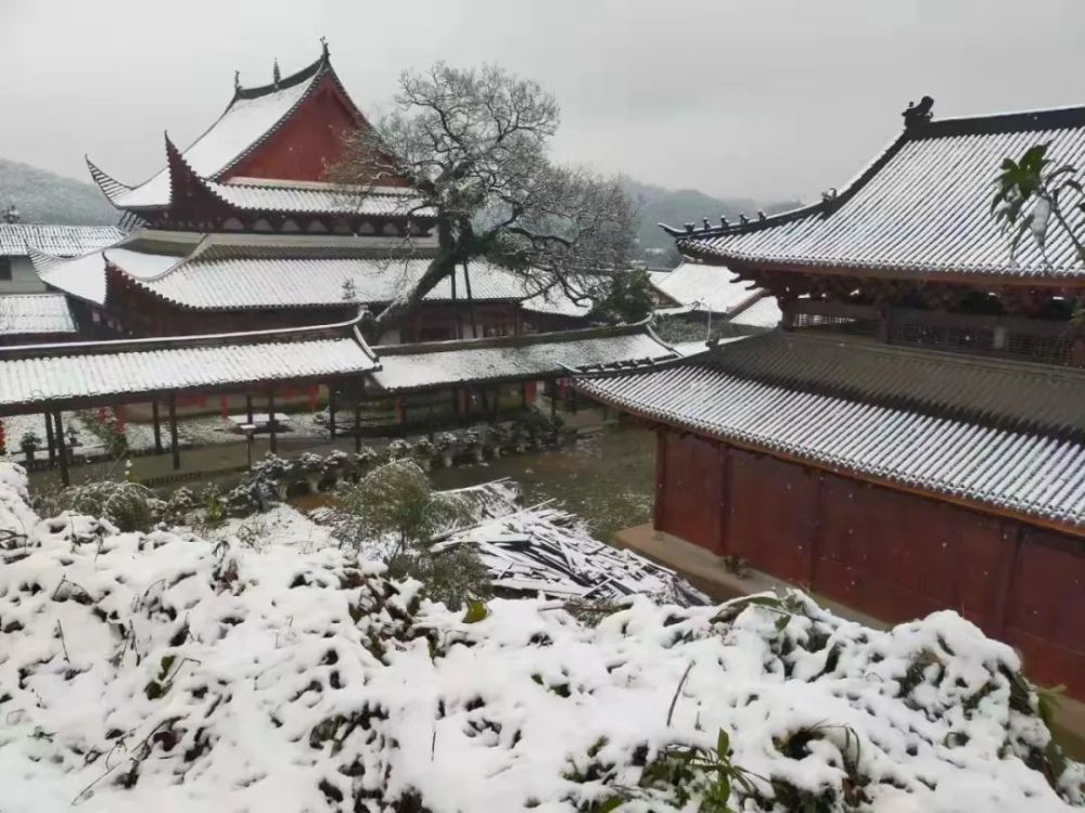 廟// 小橋甘源茶山// 川石小嶺// 工業園區// 梨山// 城區// 水南塔