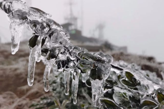 云浮大金山下雪图片