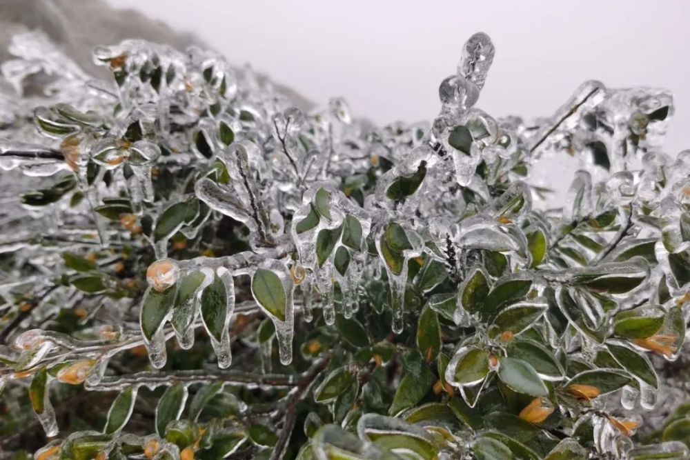 云浮大金山下雪图片