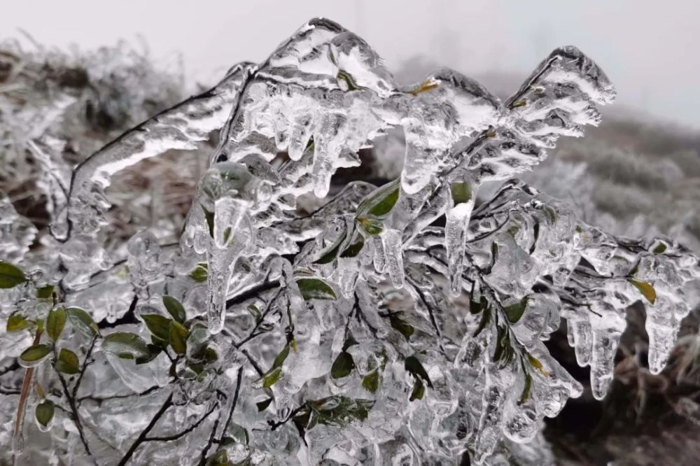 云浮大金山下雪图片