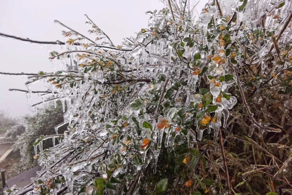 云浮大金山下雪图片