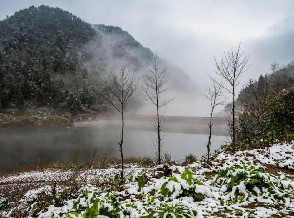 走进冰雪童话世界垫江下雪啦