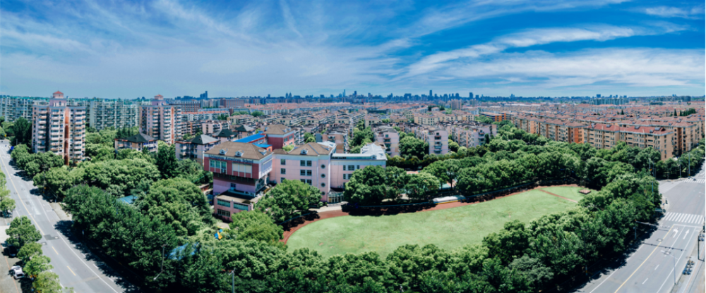 喜报长宁区新泾镇双双通过国家卫生城镇评选的复审