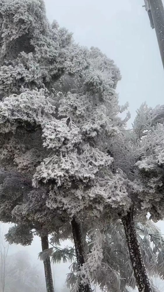 昆明真实下雪照片图片