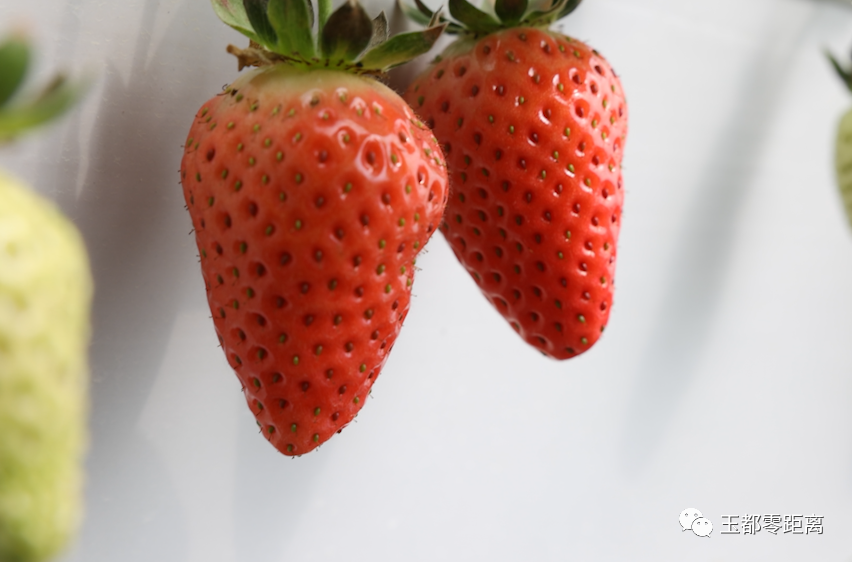 奋进新征程建功新时代麦提图尔荪的温室大棚谱写了花样人生