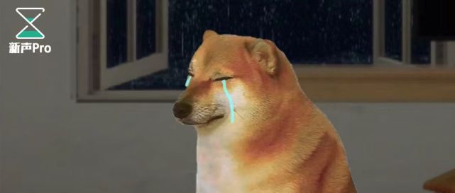 cheems的特殊位置在于,从一个扁平的「梗」,被在二