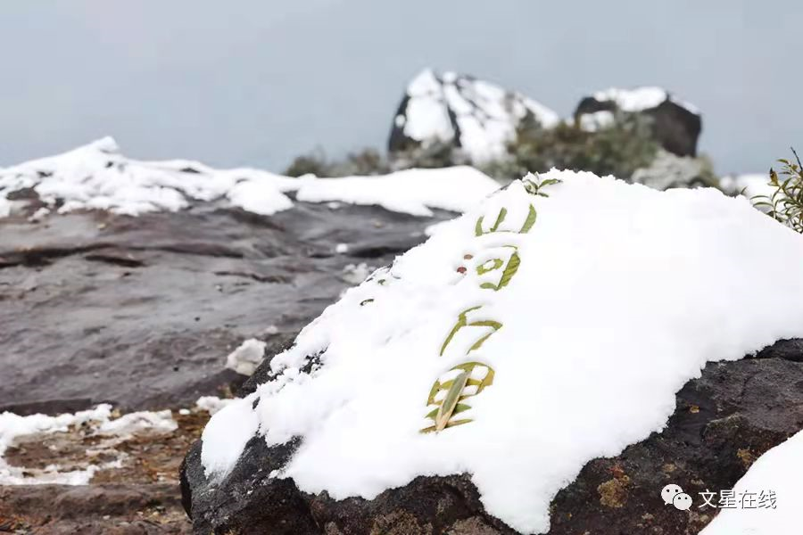 一下雪，故乡就回到了童年巴迪幼儿园