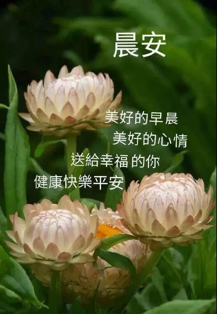 最新早上好特漂亮的动态祝福图片春天暖心早安问候语简短