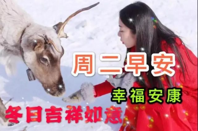 2022年2月22日星期二漂亮早上好问候动态表情图片带字 周二最美早安