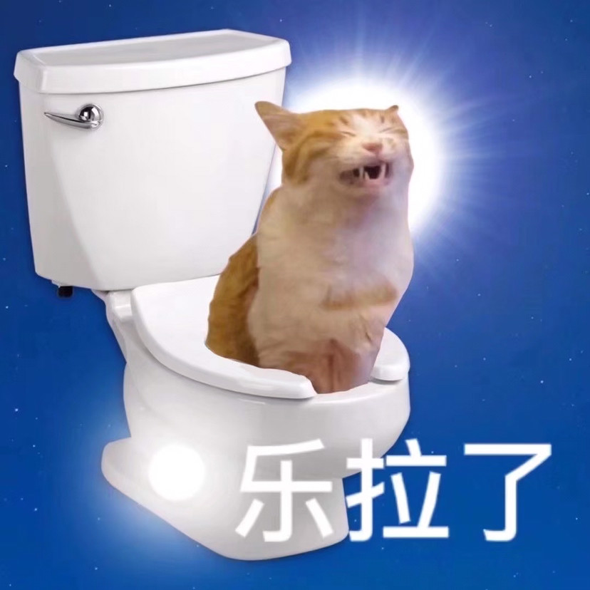 奇怪的猫咪表情包