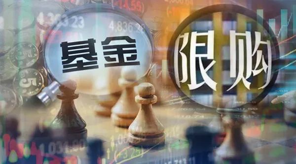 年度亚军基金经理确认"奔私,开年已有超40人离职|基金经理|基金|固收