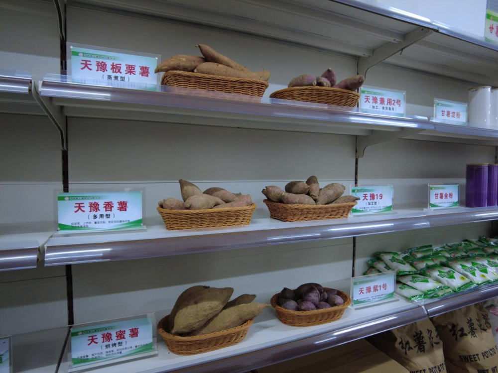 张北土豆批发：绿色品质，产业兴旺