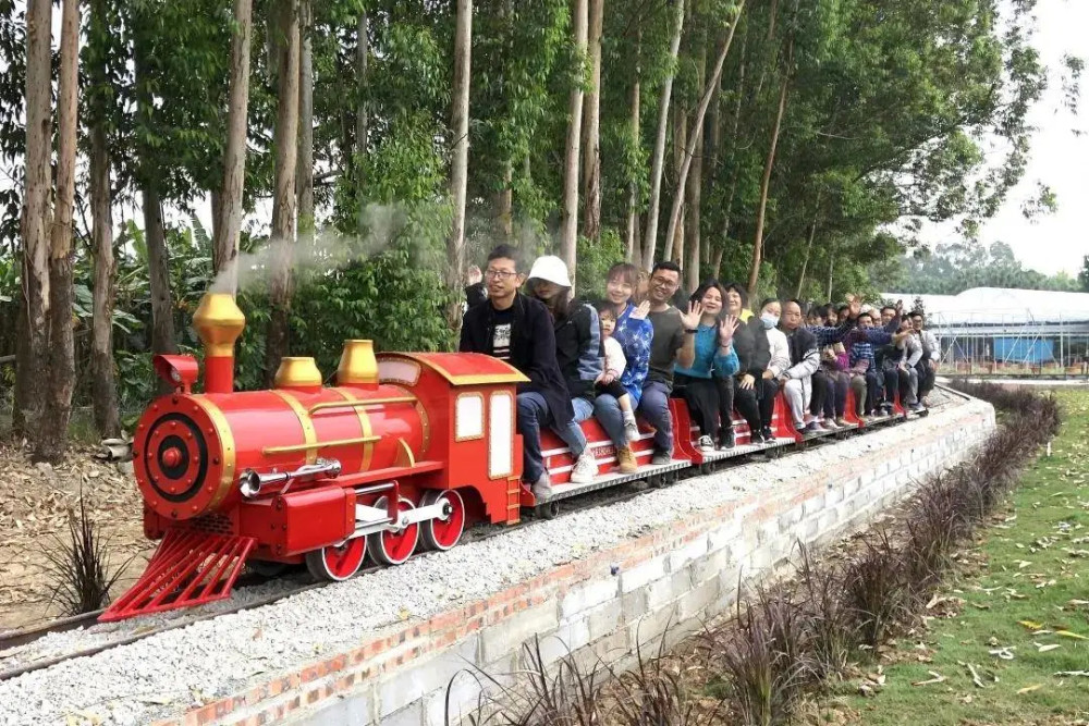 来东莞麻涌打卡网红小火车还有更多畅游项目等你来玩