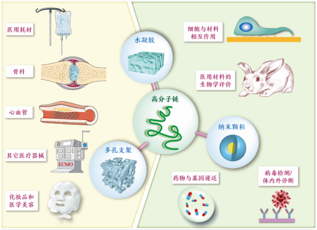 国家出版基金项目｜生物医用高分子材料（上下册，丁建东等）_腾讯新闻