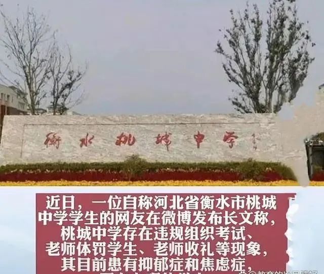 衡水桃城中学图标图片图片