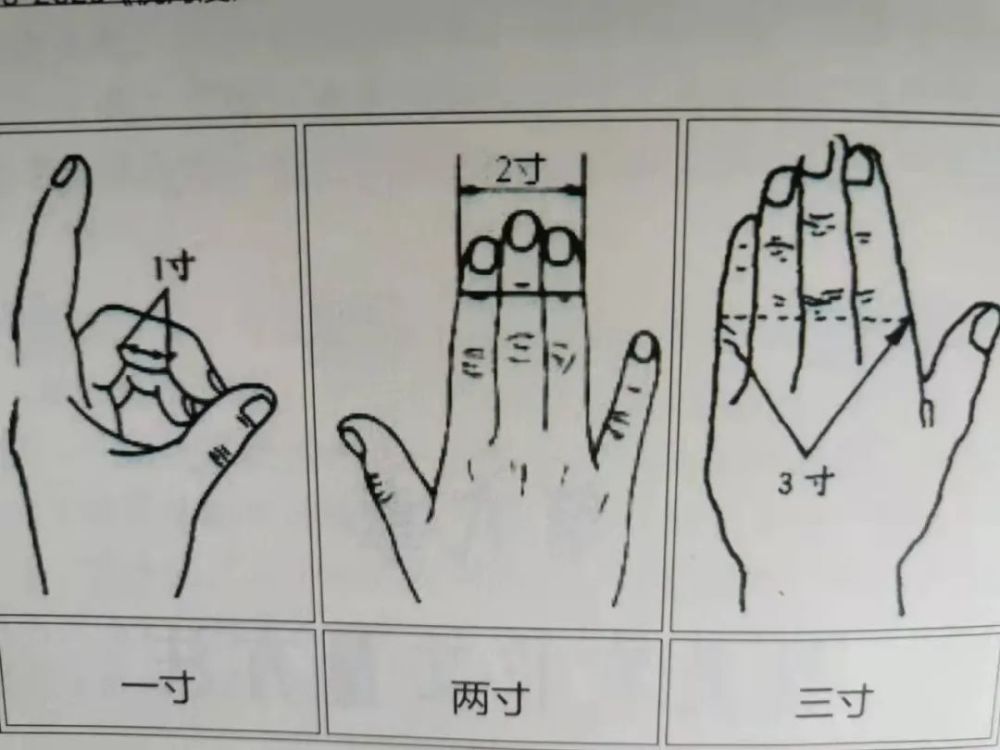 (一)同身寸的概念于是,决定《针灸大成》再重来一遍.主要是学习笔记.