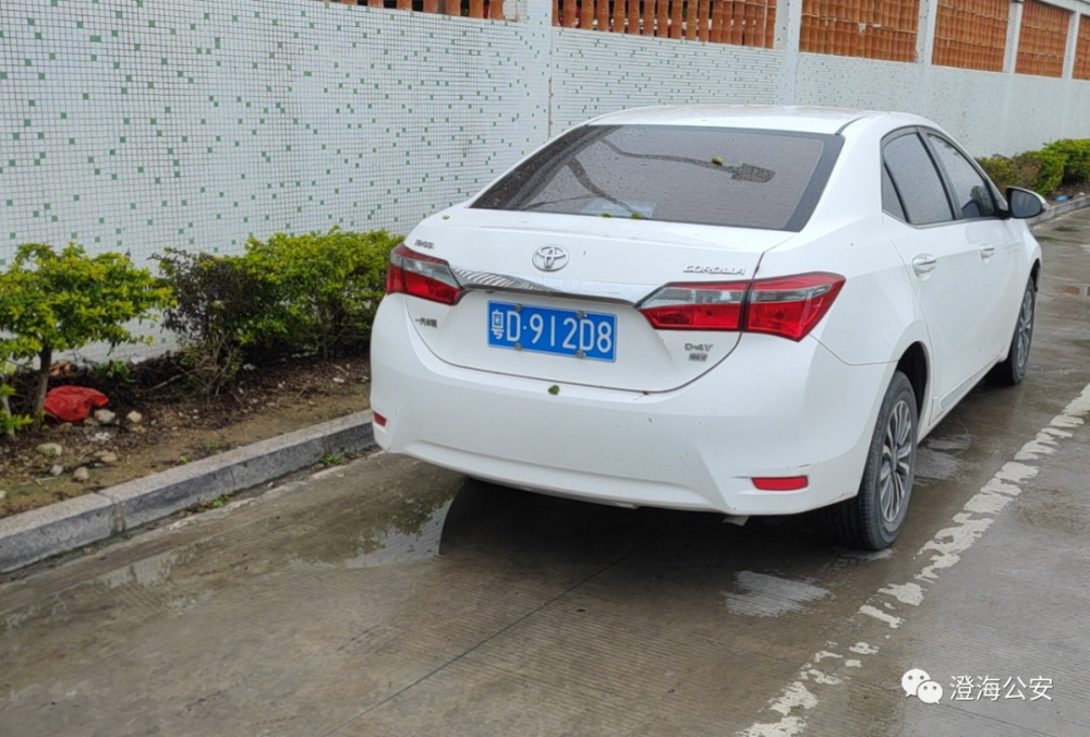 中山车牌是粤什么