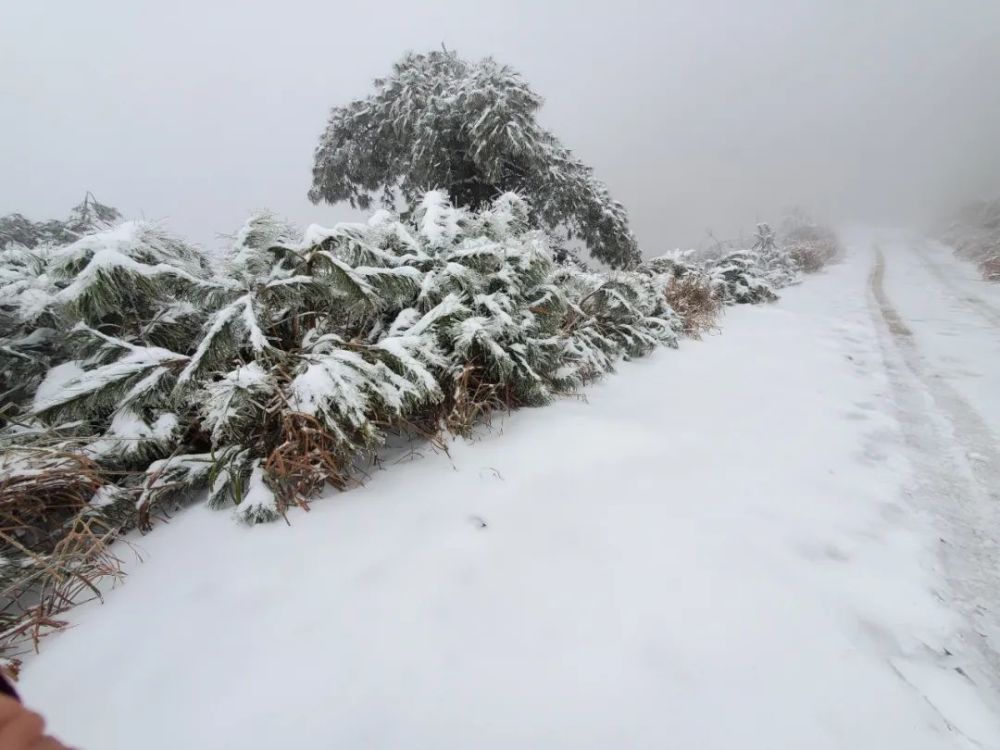 全州黄花岭雪景图片