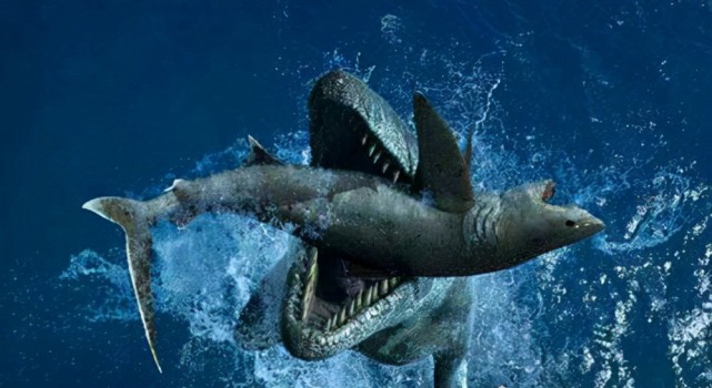 最大的海生霸王龙|海生|海王龙|霸王龙|恐龙