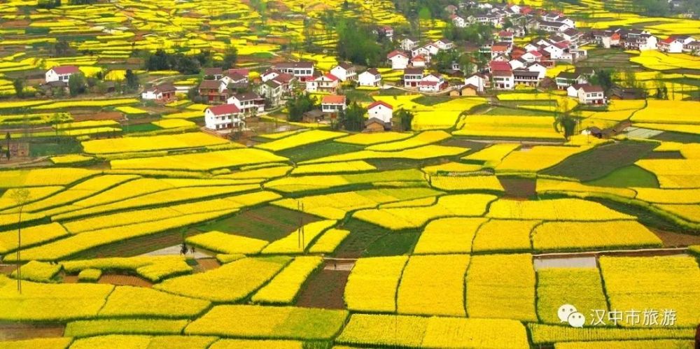漢中油菜花節(jié)各縣區(qū)觀花線路公布！插圖2