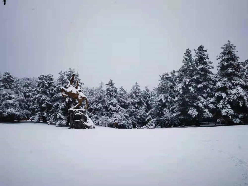 楚雄多地下雪啦雪景虽美更要注意安全