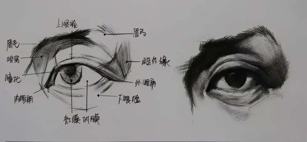 人物素描难点,眼睛绘画技法分享,简单易懂_腾讯新闻