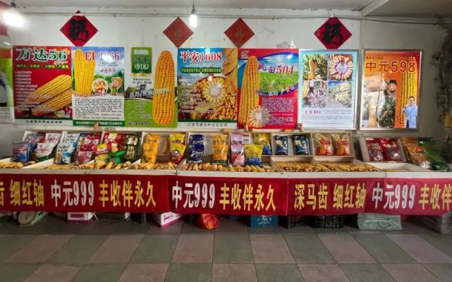 春耕备耕忙 种子销售旺|玉米|秋收|粮食|种子|备耕