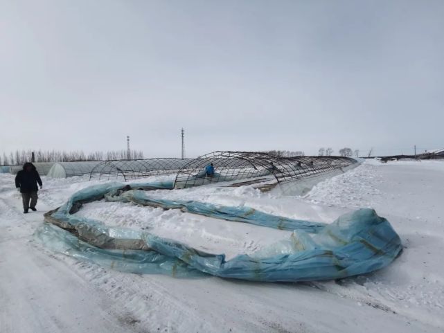 八五九农场有限公司以建三江农业生产暨备春耕工作会议精神为统领