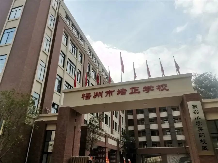 梧州这所116年老校启用新校区!明年升格为振兴小学教育集团美的校区_