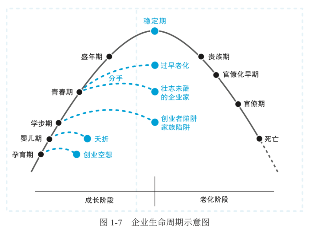 学家伊查克·爱迪思(ichak adizes)的生命周期理论,既然企业是生命体