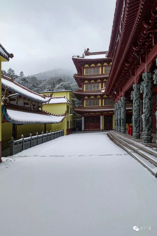 寒梅已绽闽东枝漫漫雪覆方广寺