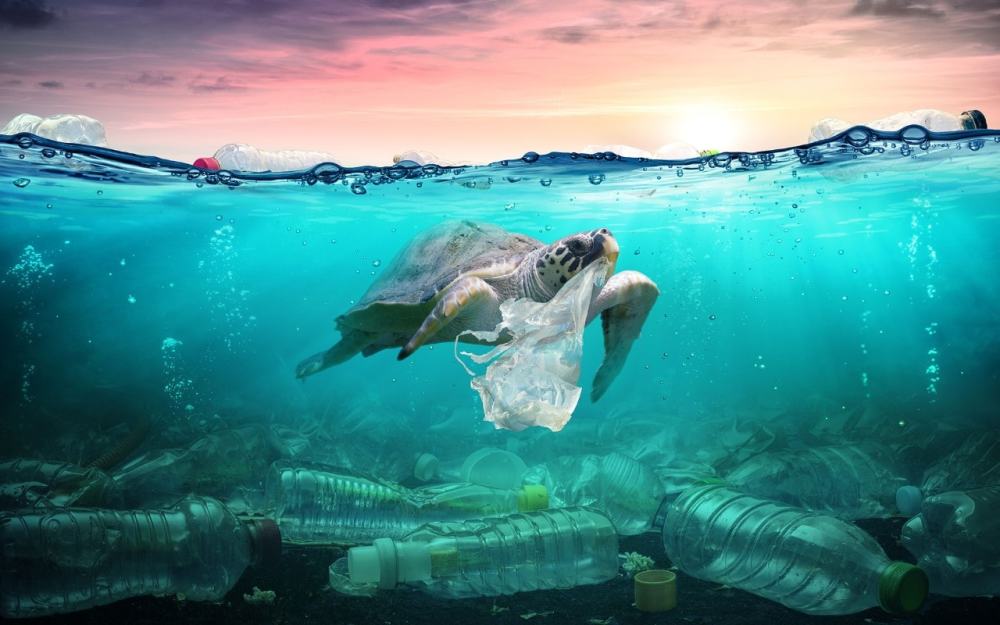 疫情后遗症全球每分钟扔掉300万口罩海量废弃口罩污染水源