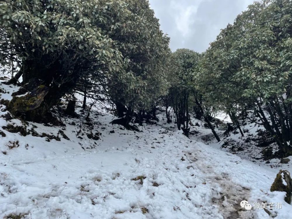 芒市苤菜坝下雪图片