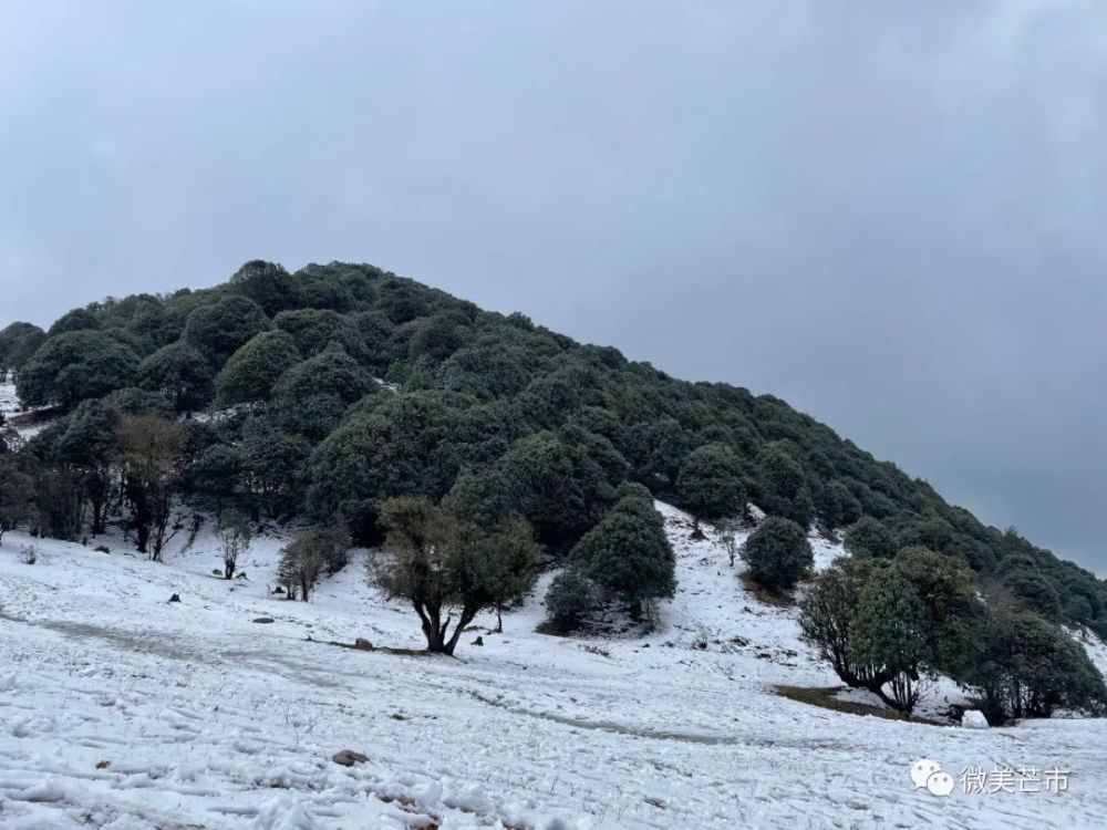 芒市苤菜坝下雪图片