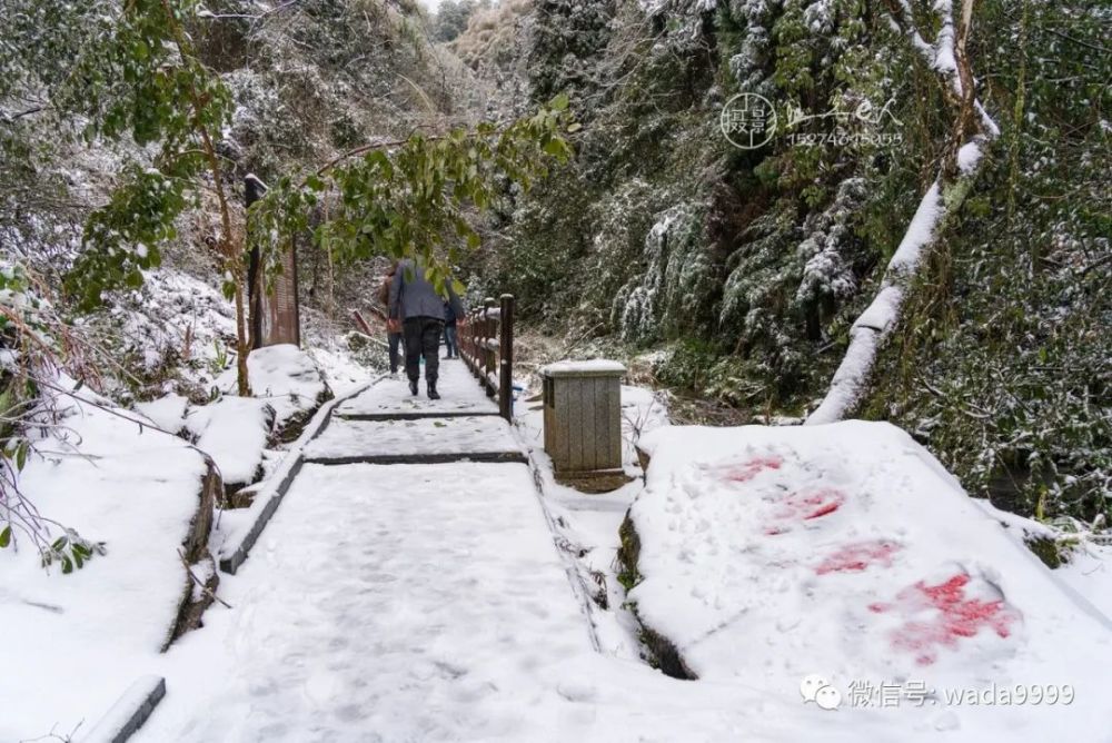 东安县舜皇山景区雪景照片