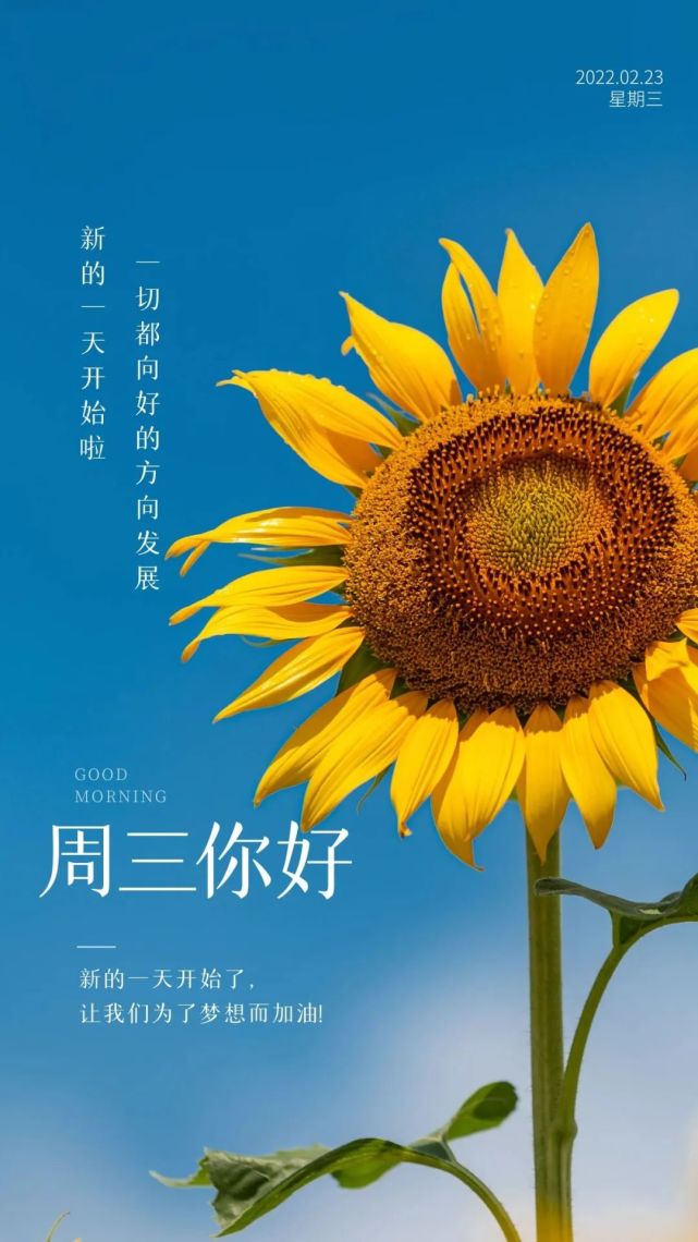 每日一签日历图片今日2月23日早安