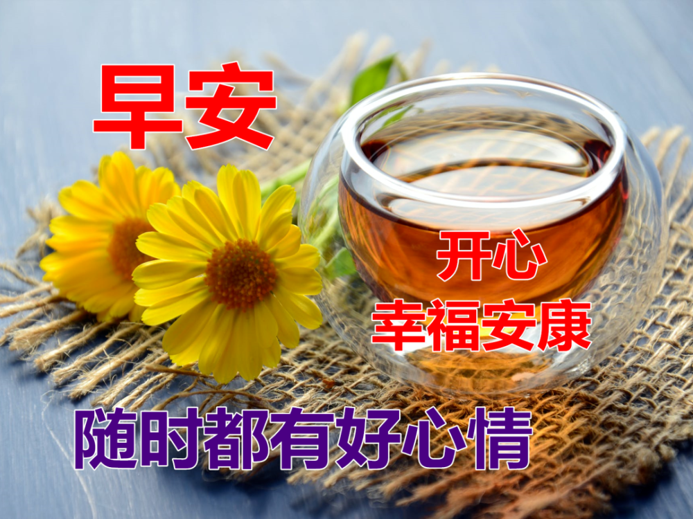 每日问候图片大全早安图片