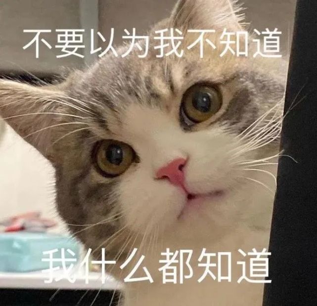 沙雕表情包看来你需要安排进厂深造