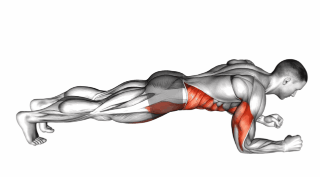 马甲线|平板支撑|核心肌群|核心力量